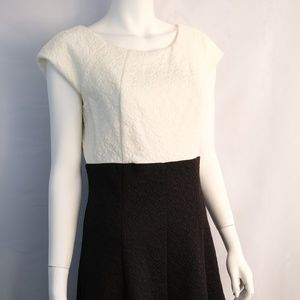 Dress Barn Party Dress